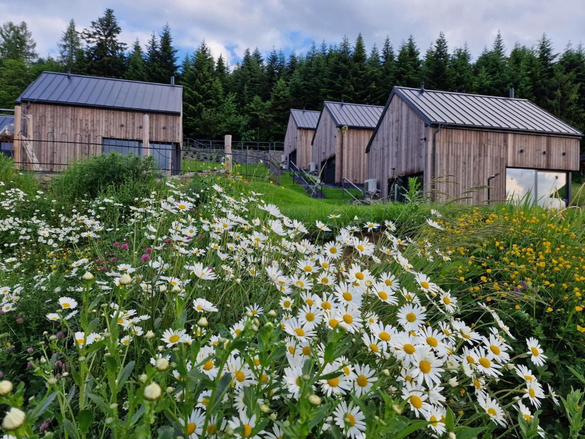 Z Gorki Na Pazurki Feriehus *